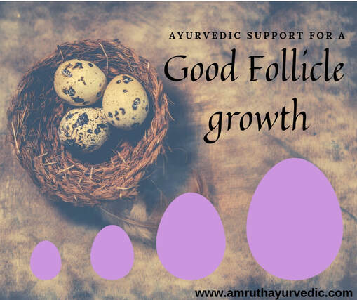 Ayurvedic treatment for follicular growth